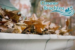 gutter-cleaners-brockley